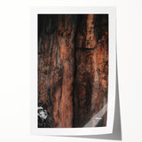 Rustic Wall Art: Rocky Cliff Close-Up – Farmhouse Nature Decor Print