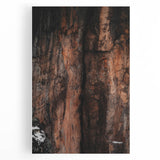 Rustic Wall Art: Rocky Cliff Close-Up – Farmhouse Nature Decor Print