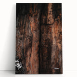 Rustic Wall Art: Rocky Cliff Close-Up – Farmhouse Nature Decor Print