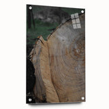 Rustic Tree Ring Wall Art – Nature-Inspired Decor for Farmhouse Homes