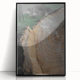 Rustic Tree Ring Wall Art – Nature-Inspired Decor for Farmhouse Homes