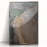 Rustic Tree Ring Wall Art – Nature-Inspired Decor for Farmhouse Homes