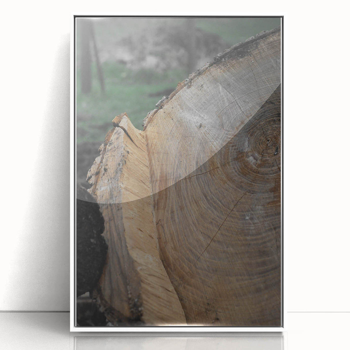 Rustic Tree Ring Wall Art – Nature-Inspired Decor for Farmhouse Homes