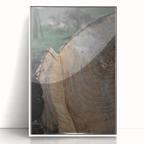 Rustic Tree Ring Wall Art – Nature-Inspired Decor for Farmhouse Homes