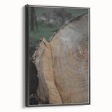 Rustic Tree Ring Wall Art – Nature-Inspired Decor for Farmhouse Homes
