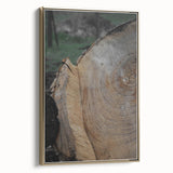Rustic Tree Ring Wall Art – Nature-Inspired Decor for Farmhouse Homes