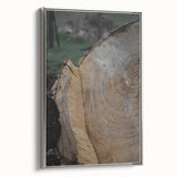 Rustic Tree Ring Wall Art – Nature-Inspired Decor for Farmhouse Homes