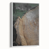 Rustic Tree Ring Wall Art – Nature-Inspired Decor for Farmhouse Homes