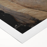 Rustic Tree Ring Wall Art – Nature-Inspired Decor for Farmhouse Homes