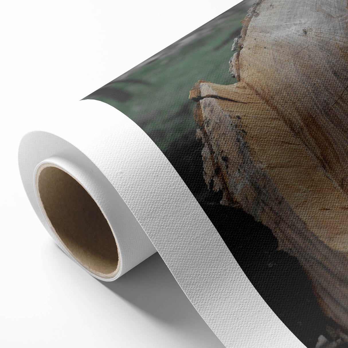 Rustic Tree Ring Wall Art – Nature-Inspired Decor for Farmhouse Homes