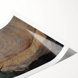 Rustic Tree Ring Wall Art – Nature-Inspired Decor for Farmhouse Homes