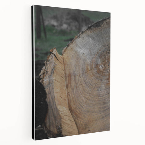Rustic Tree Ring Wall Art – Nature-Inspired Decor for Farmhouse Homes