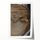 Rustic Woodcut Wall Art – Nature-Inspired Farmhouse Decor Print