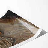 Rustic Woodcut Wall Art – Nature-Inspired Farmhouse Decor Print