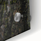 Rustic Bark Wall Art – Nature-Inspired Woodland Decor for Farmhouse Homes