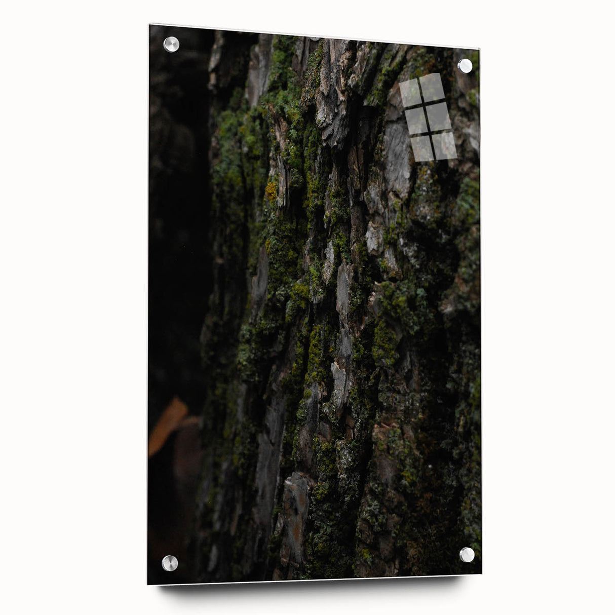 Rustic Bark Wall Art – Nature-Inspired Woodland Decor for Farmhouse Homes