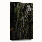 Rustic Bark Wall Art – Nature-Inspired Woodland Decor for Farmhouse Homes