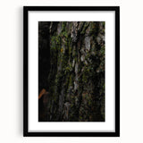 Rustic Bark Wall Art – Nature-Inspired Woodland Decor for Farmhouse Homes