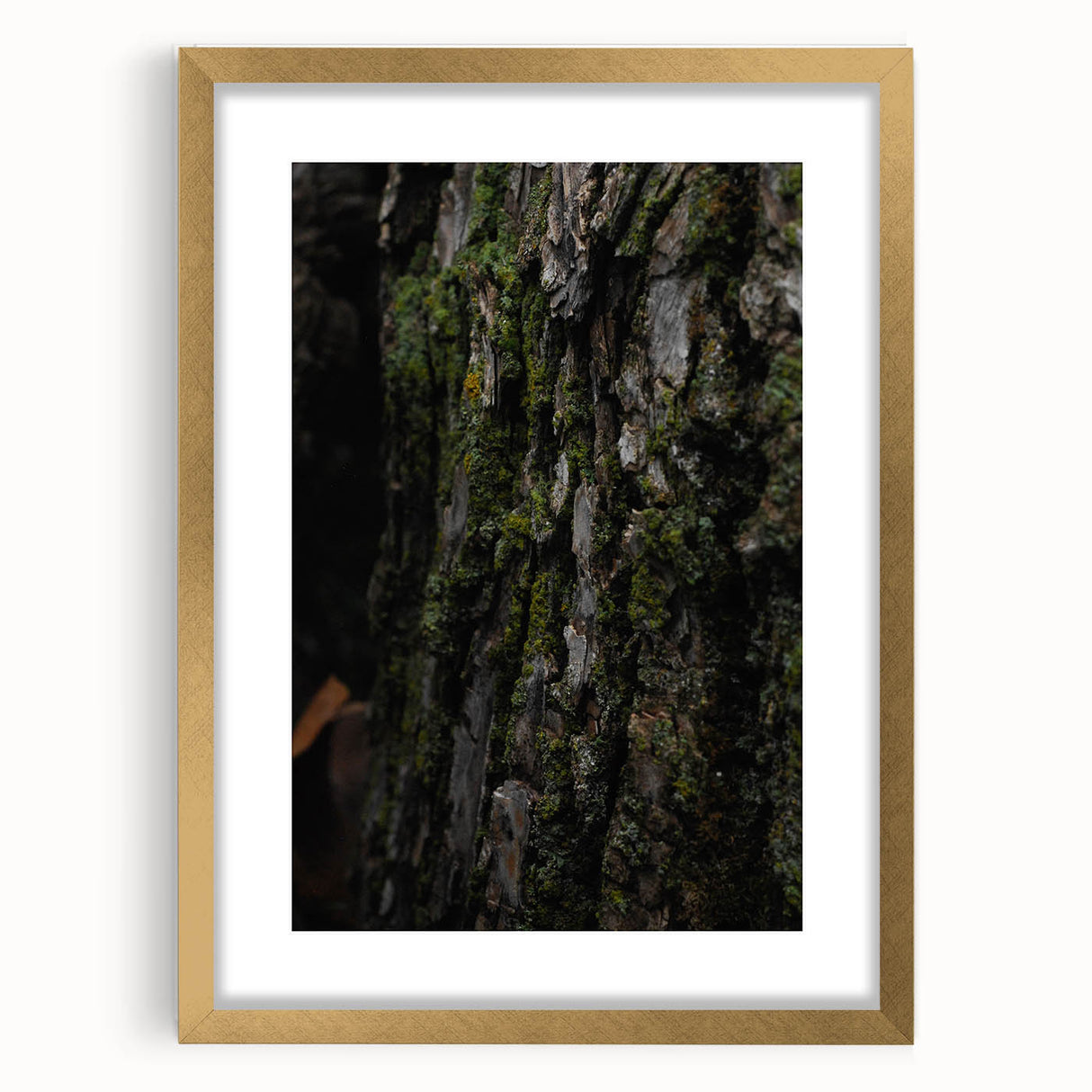 Rustic Bark Wall Art – Nature-Inspired Woodland Decor for Farmhouse Homes