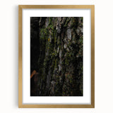 Rustic Bark Wall Art – Nature-Inspired Woodland Decor for Farmhouse Homes