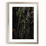 Rustic Bark Wall Art – Nature-Inspired Woodland Decor for Farmhouse Homes