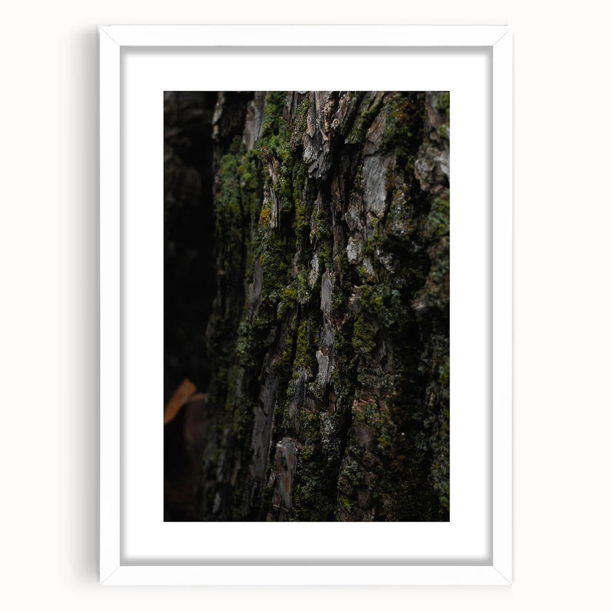 Rustic Bark Wall Art – Nature-Inspired Woodland Decor for Farmhouse Homes