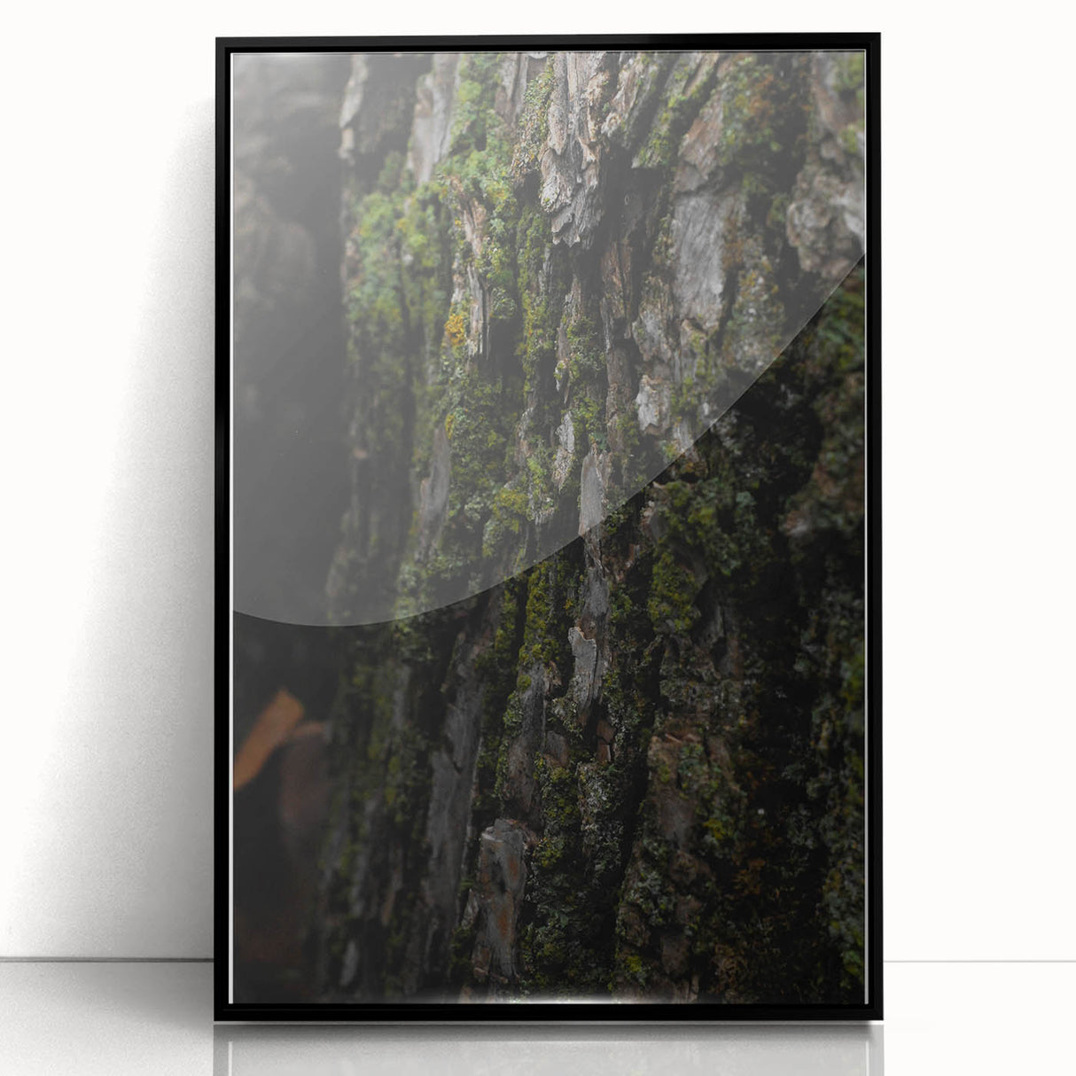 Rustic Bark Wall Art – Nature-Inspired Woodland Decor for Farmhouse Homes