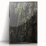 Rustic Bark Wall Art – Nature-Inspired Woodland Decor for Farmhouse Homes