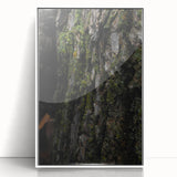 Rustic Bark Wall Art – Nature-Inspired Woodland Decor for Farmhouse Homes