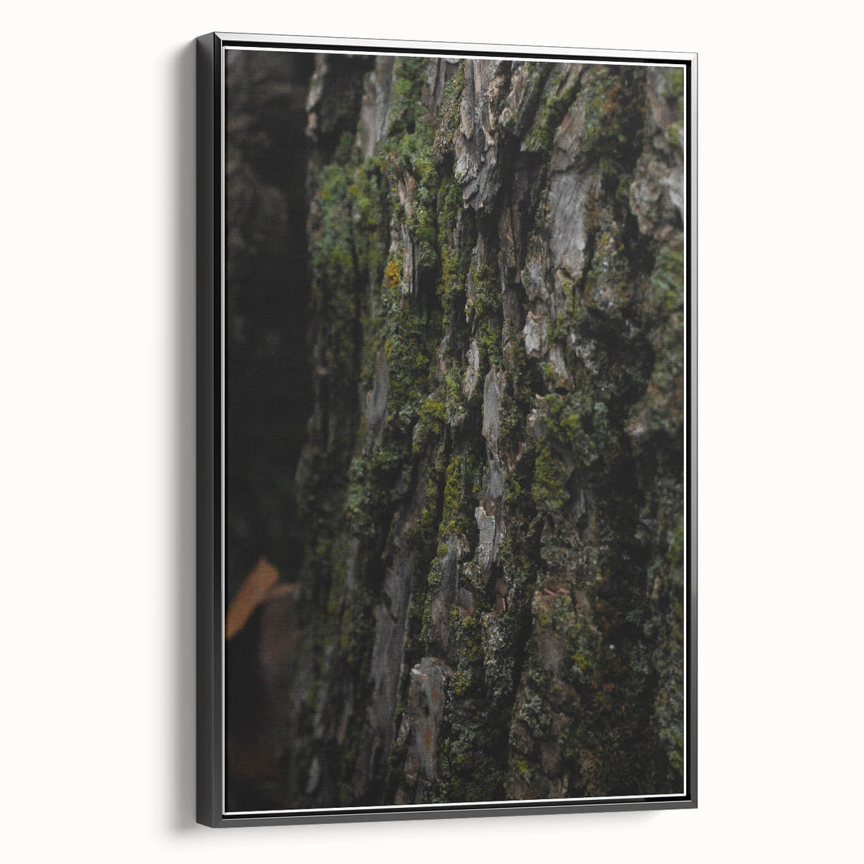 Rustic Bark Wall Art – Nature-Inspired Woodland Decor for Farmhouse Homes