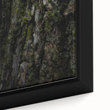 Rustic Bark Wall Art – Nature-Inspired Woodland Decor for Farmhouse Homes