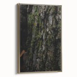 Rustic Bark Wall Art – Nature-Inspired Woodland Decor for Farmhouse Homes