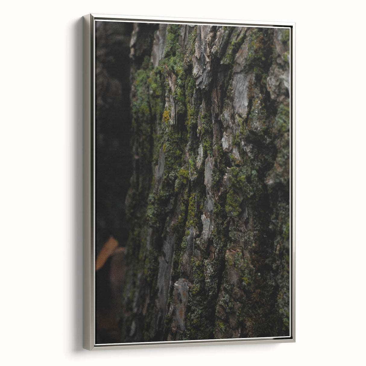 Rustic Bark Wall Art – Nature-Inspired Woodland Decor for Farmhouse Homes