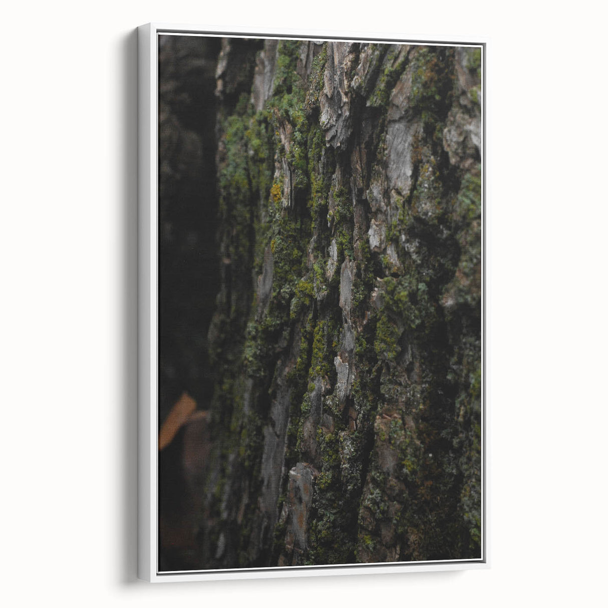Rustic Bark Wall Art – Nature-Inspired Woodland Decor for Farmhouse Homes