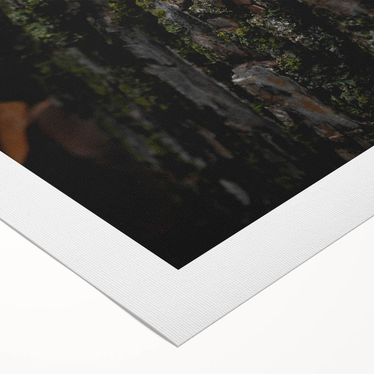 Rustic Bark Wall Art – Nature-Inspired Woodland Decor for Farmhouse Homes