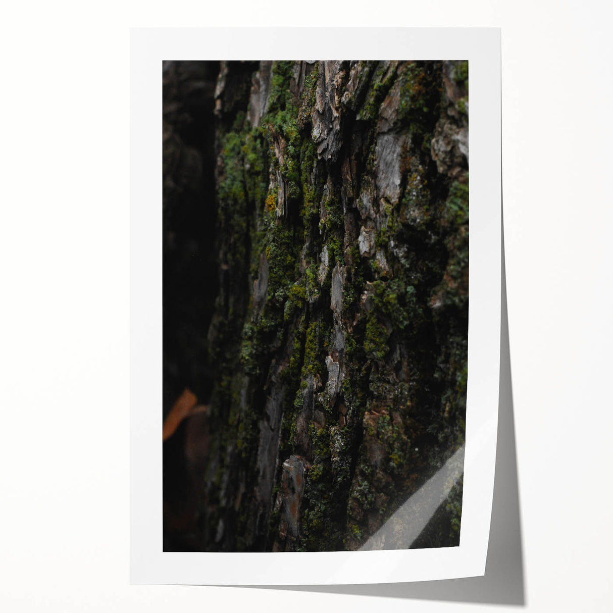 Rustic Bark Wall Art – Nature-Inspired Woodland Decor for Farmhouse Homes