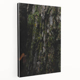 Rustic Bark Wall Art – Nature-Inspired Woodland Decor for Farmhouse Homes