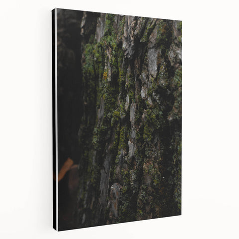 Rustic Bark Wall Art – Nature-Inspired Woodland Decor for Farmhouse Homes