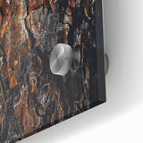 Rugged Bark Texture Art, Deep Rustic Wall Decor Print