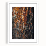 Rugged Bark Texture Art, Deep Rustic Wall Decor Print