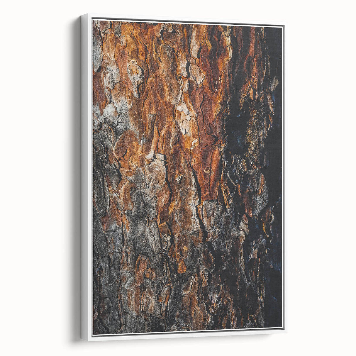 Rugged Bark Texture Art, Deep Rustic Wall Decor Print