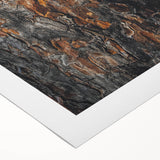 Rugged Bark Texture Art, Deep Rustic Wall Decor Print