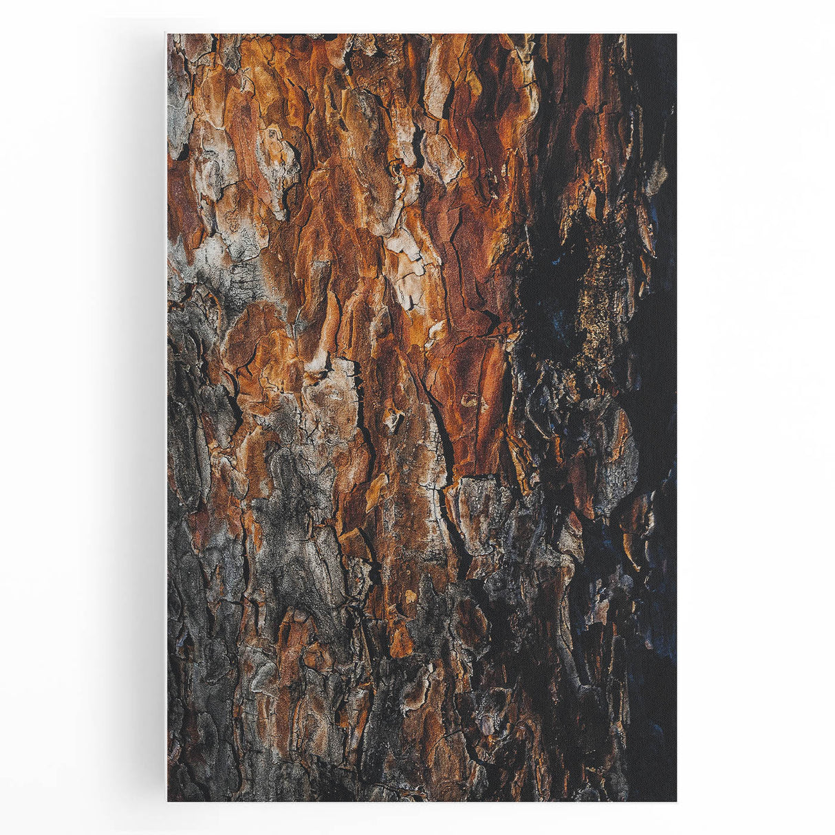 Rugged Bark Texture Art, Deep Rustic Wall Decor Print