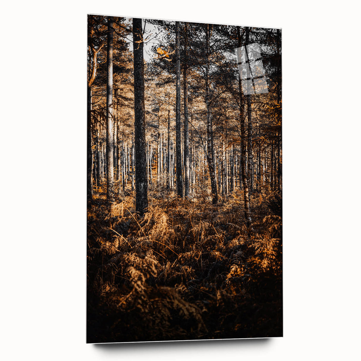 Rustic Autumn Forest Wall Art – Nature-Inspired Farmhouse Landscape Decor