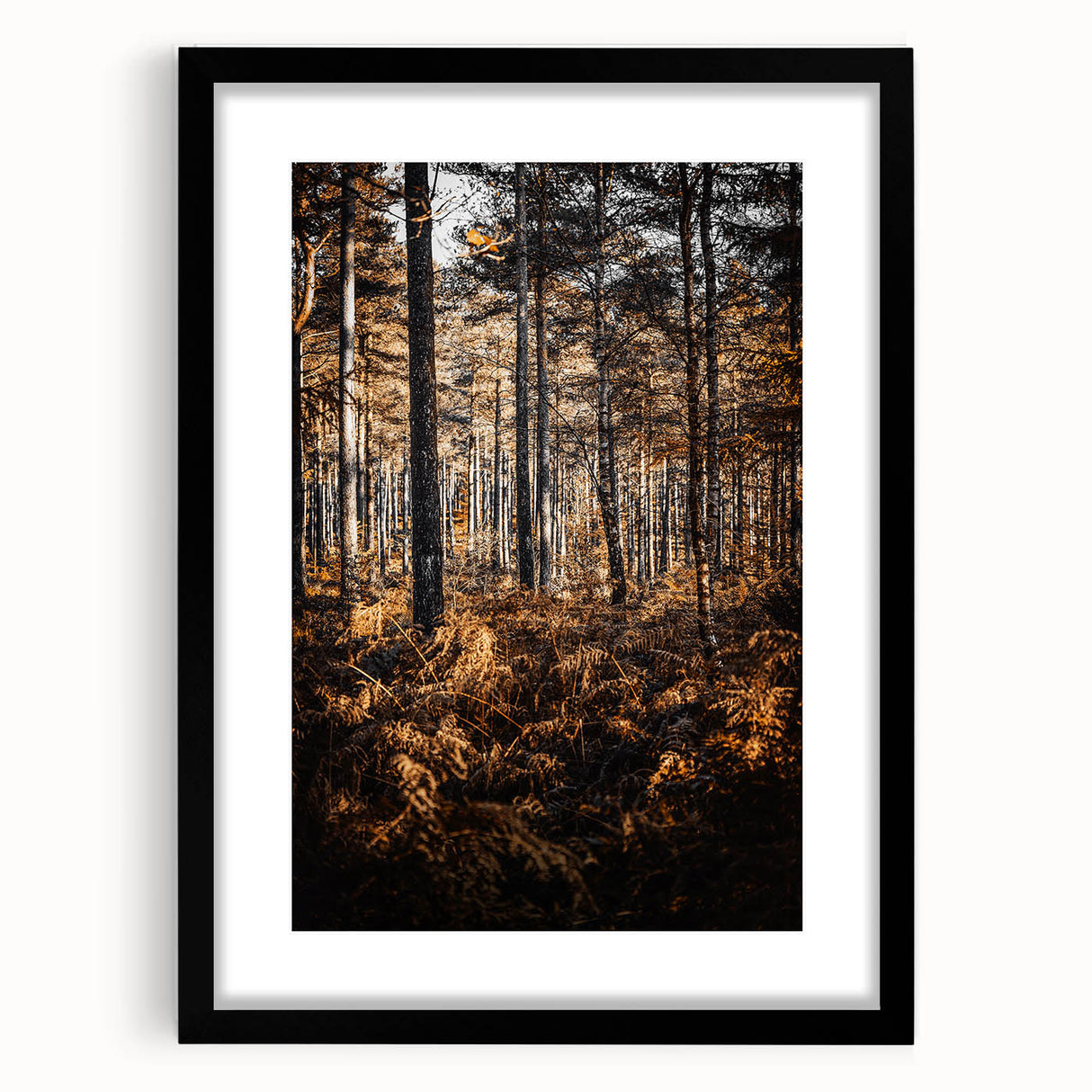 Rustic Autumn Forest Wall Art – Nature-Inspired Farmhouse Landscape Decor