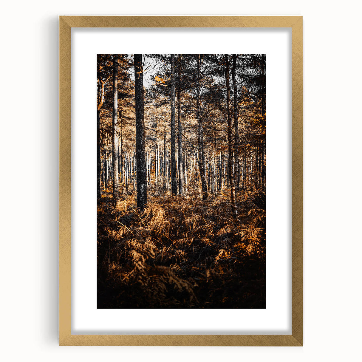 Rustic Autumn Forest Wall Art – Nature-Inspired Farmhouse Landscape Decor