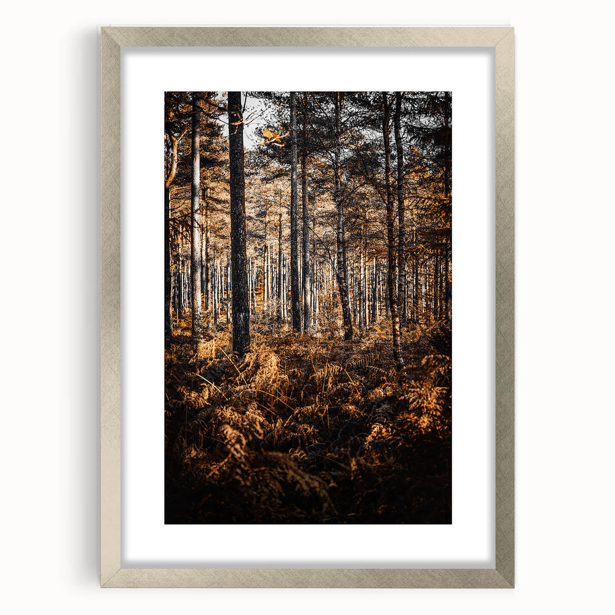 Rustic Autumn Forest Wall Art – Nature-Inspired Farmhouse Landscape Decor