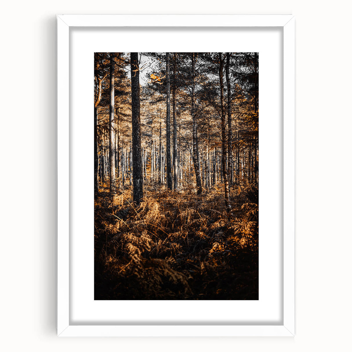 Rustic Autumn Forest Wall Art – Nature-Inspired Farmhouse Landscape Decor