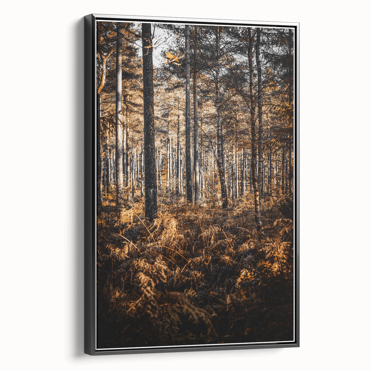 Rustic Autumn Forest Wall Art – Nature-Inspired Farmhouse Landscape Decor