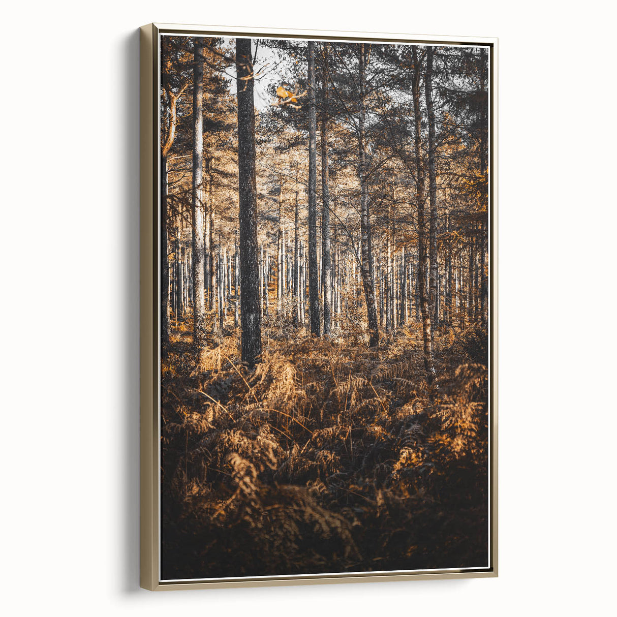 Rustic Autumn Forest Wall Art – Nature-Inspired Farmhouse Landscape Decor